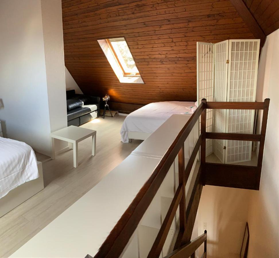 Luxury Duplex Vue Chateau Neuchâtel Exteriör bild